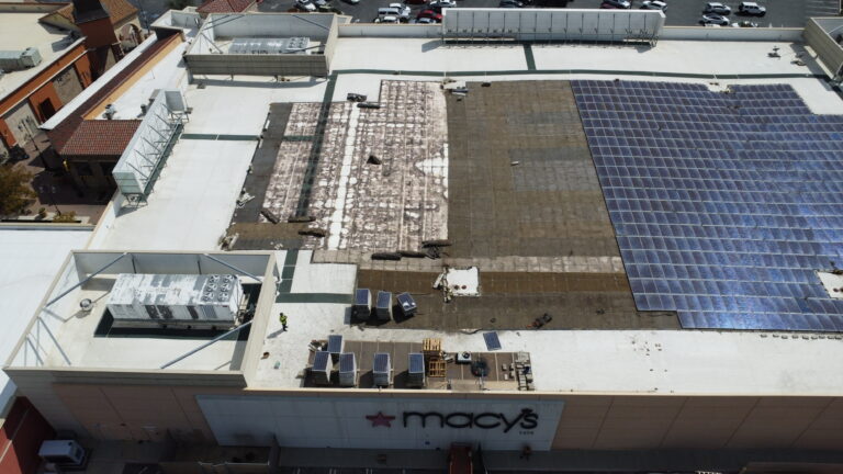 Macy Website 1 scaled